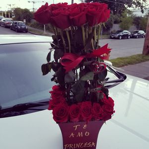 Meet your Posher, Selene